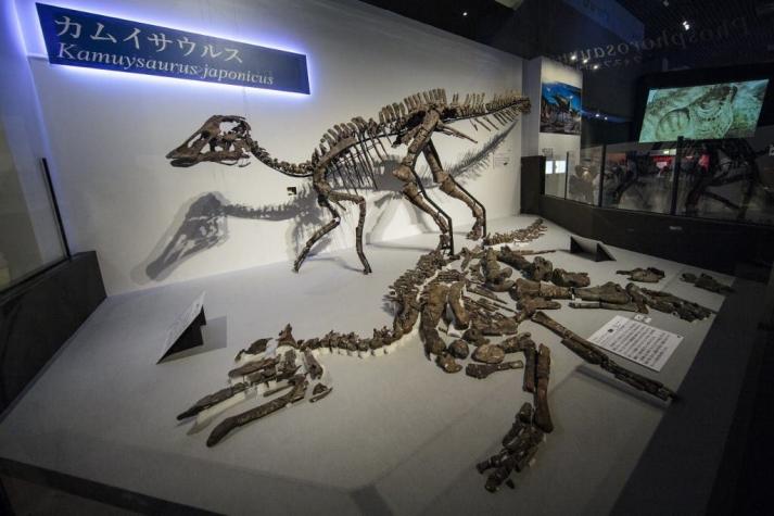 Encuentran en Japón una nueva especie de dinosaurio