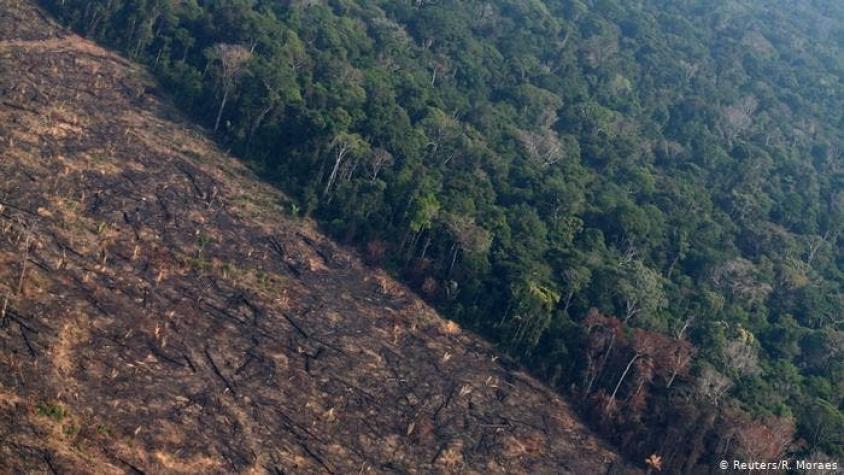 Deforestación en la Amazonía brasileña saltó un 222 % en agosto