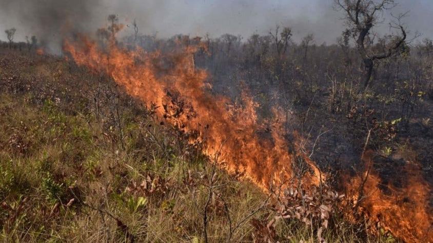 Incendios en el Amazonas: el fuego sigue "fuera de control" en Bolivia