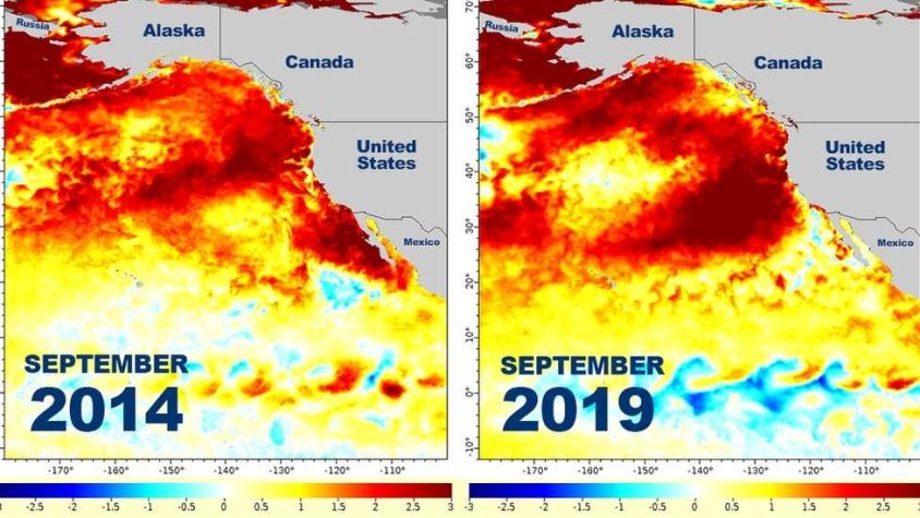 El "Blob": preocupante masa de agua caliente que está apareciendo frente a las costas de California