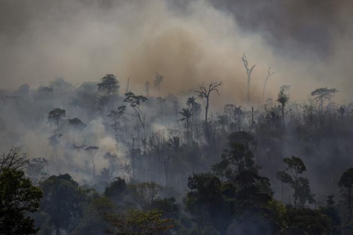 HRW denuncia que gobierno brasileño "da luz verde" a grupos criminales para destruir la Amazonía