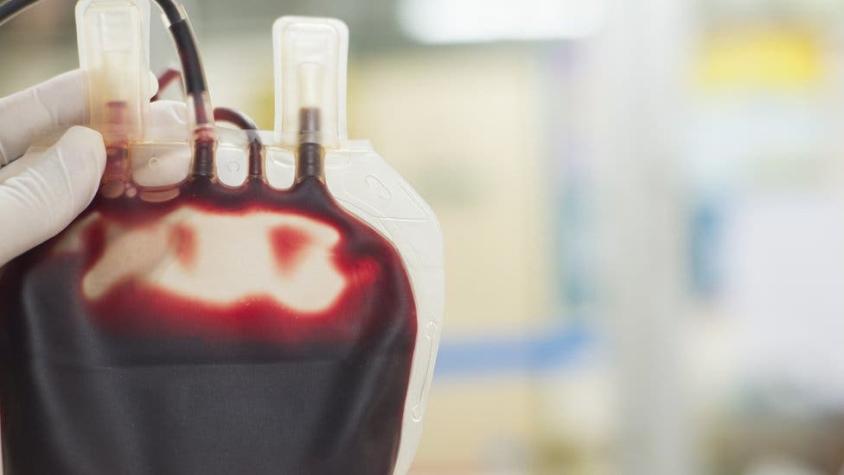 13 curiosos datos sobre la sangre que tal vez no conocías