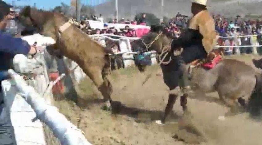 [VIDEO] Toro salta valla y golpea espectadores en medialuna de Huasco