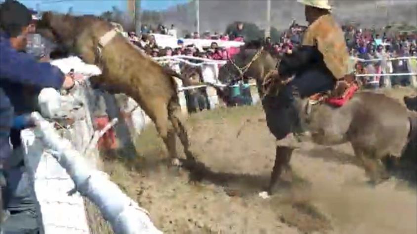 [VIDEO] Toro saltó sobre espectadores en rodeo de Huasco