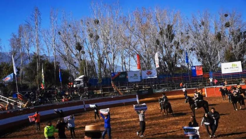 [VIDEO] Animalistas invadieron medialuna de Parque San Alberto Hurtado e interrumpen rodeo