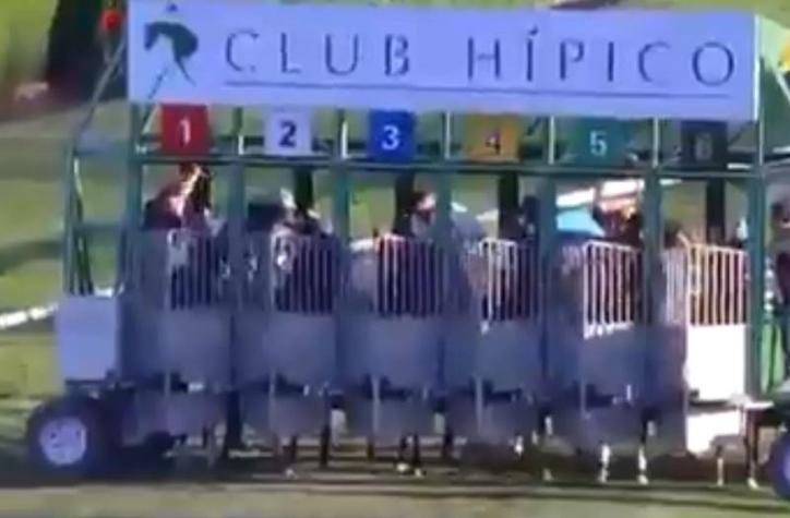Club Hípico se desmarca del accidente que dejó caballos muertos y tres jinetes heridos