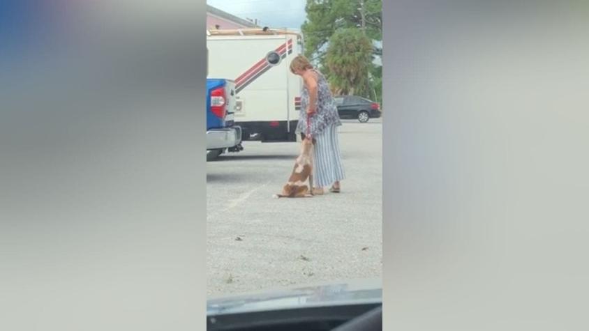 [VIDEO] Brutal maltrato: Mujer fue grabada ahorcando con el collar a su perro