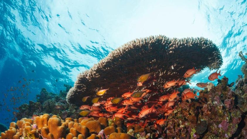 Cambio climático: cómo el océano puede convertirse en un enemigo letal