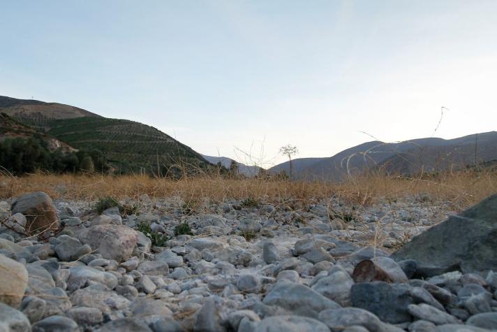 Científicos advierten por el veloz avance de la desertificación en Chile