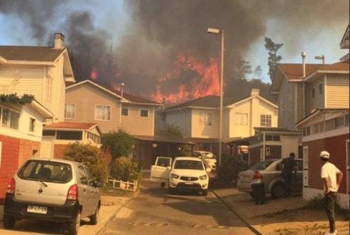 Las impresionantes imágenes del incendio forestal que afecta a Valparaíso