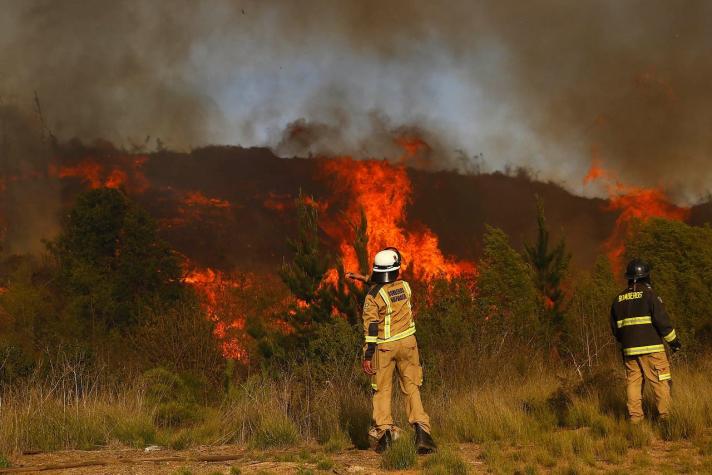 [VIDEO] Alerta Roja en la comuna de Valparaíso por incendio forestal