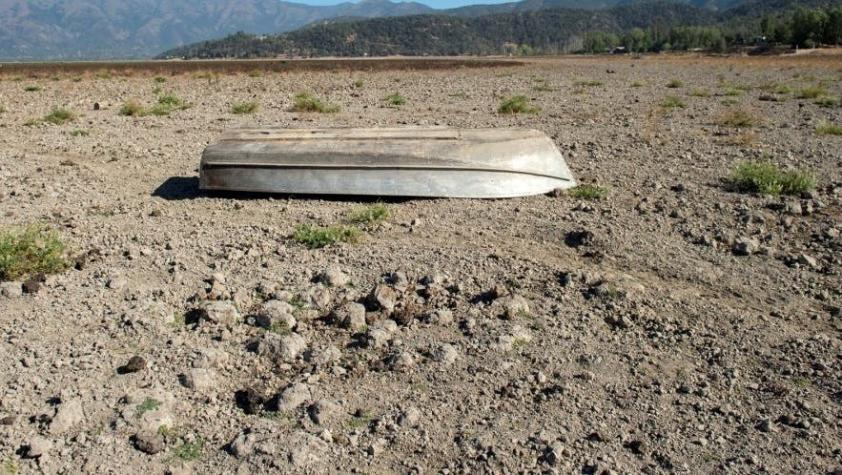 Lagunas secas y animales hambrientos: El efecto de la grave sequía en casi todo el país