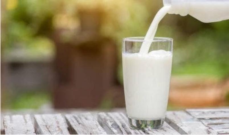 Contraloría alerta por calidad de leche Purita entregada en Cerro Navia