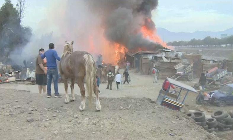 Varios caballos muertos en incendio que afecta a viviendas y pesebreras de Cerro Navia