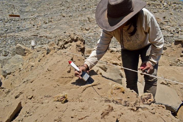 [FOTO] Hallan sepultado en Perú restos de un perro de hace más de mil años