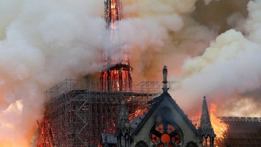 Incendio en Notre Dame: un bosque acuático de Ghana podría ayudar a reconstruir el ícono de París