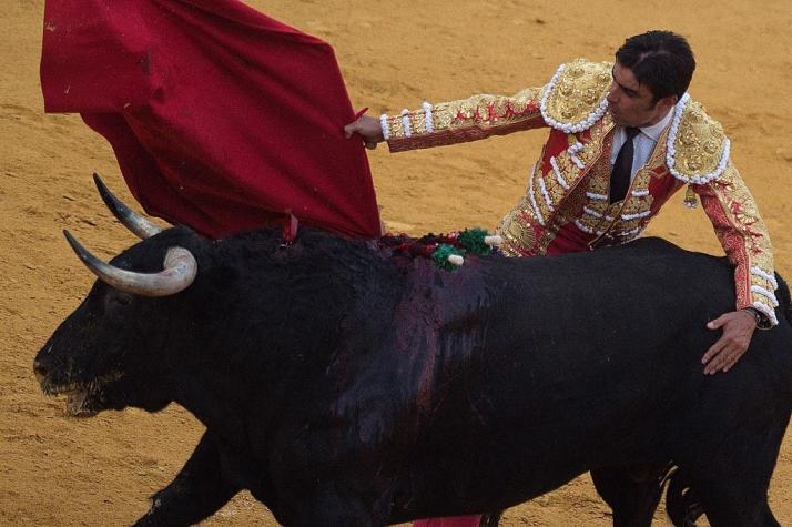 Dos toreros españoles se encuentran en estado grave tras ser corneados en Zaragoza
