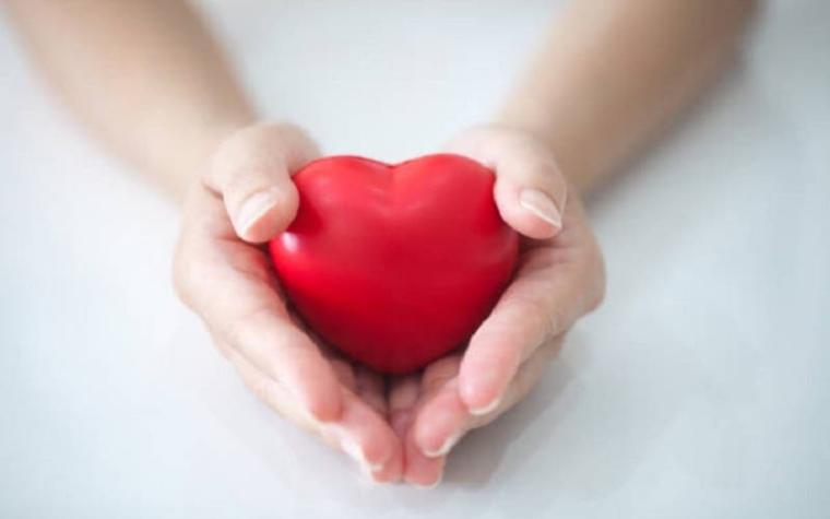 Día Mundial del Donante de Órganos: Los mitos y realidades del trasplante
