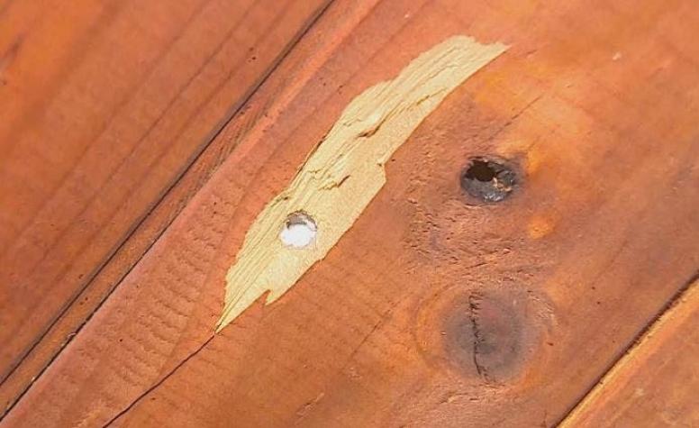 [VIDEO] Otra "bala asesina" entra por el techo de una casa en La Pintana
