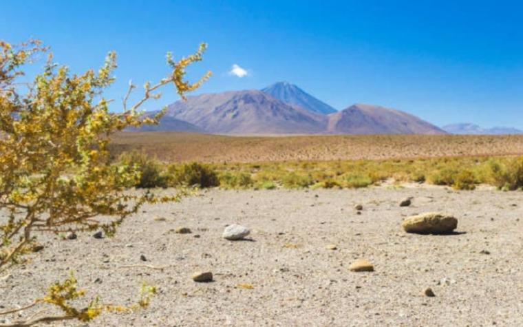 TEDx en el Cerro Santa Lucía: Especial Acción Climática se realizará como antesala de la COP25