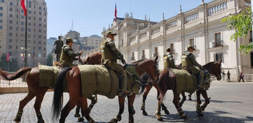 ¿Cómo es la seguridad de los caballos utilizados por Carabineros en las manifestaciones?