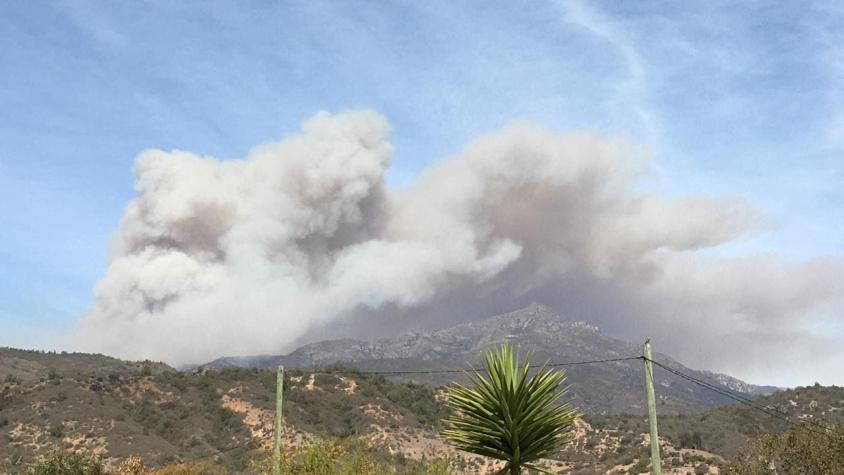 Decretan Alerta Roja por incendio forestal en sector Las Pataguas de La Ligua