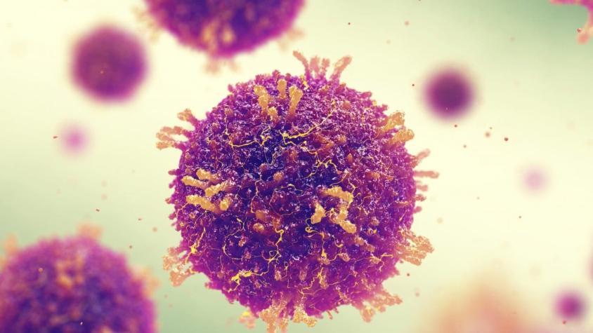 Sarampión: el devastador impacto del virus en el sistema inmunitario