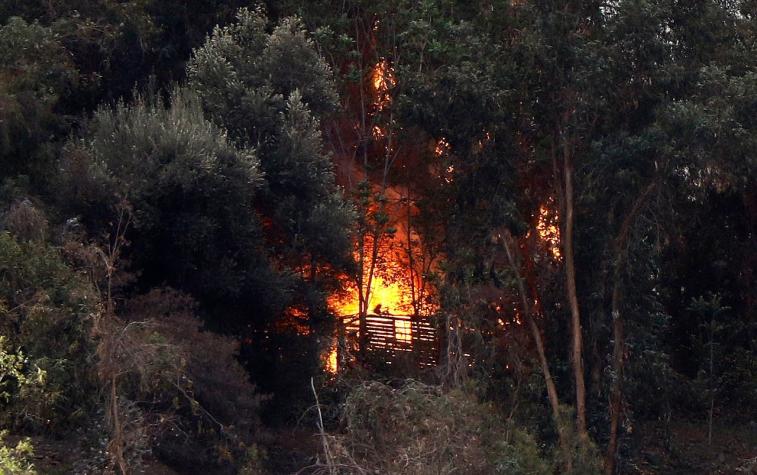[VIDEO] Incendio en el Cerro San Cristóbal moviliza a bomberos