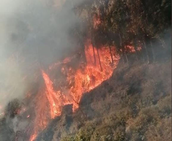 Incendio forestal consume al menos 2 hectáreas de vegetación en Playa Ancha en Valparaíso