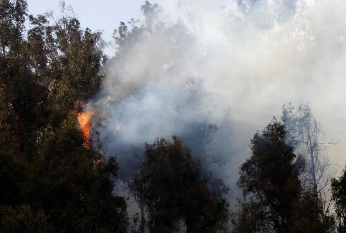 Bomberos combate rebrote de incendio en el Cerro San Cristóbal