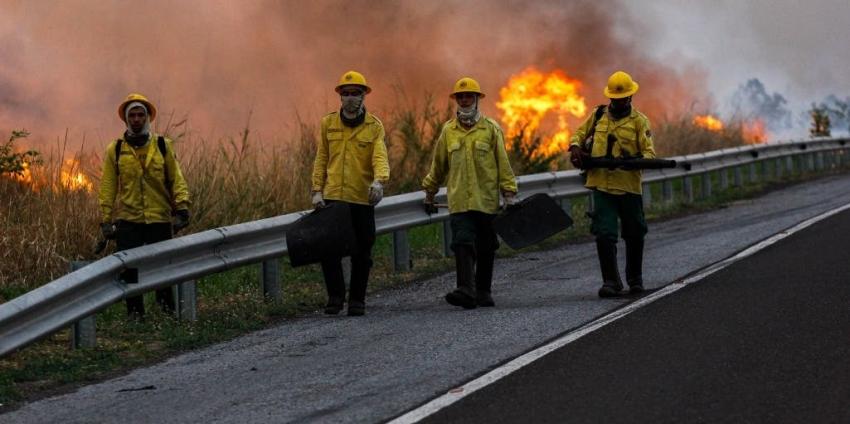 Pantanal, el otro incendio que azota a Brasil