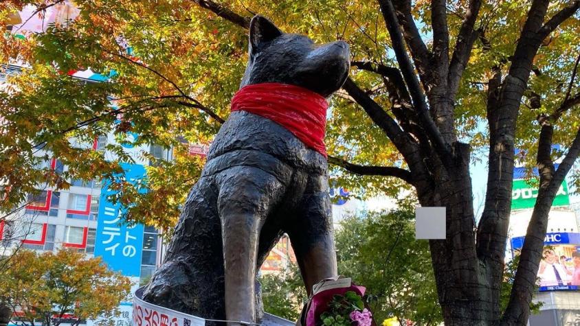 Chilenos en Japón intervienen estatua de Hachiko en memoria del perro símbolo de las protestas