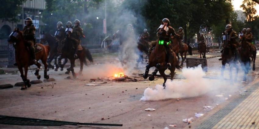 Veterinarios piden a Carabineros dejar de usar caballos en manifestaciones