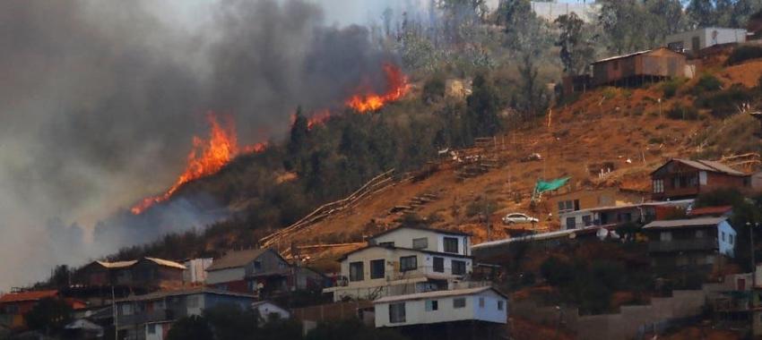 Conaf presume intencionalidad en múltiples incendios que afectaron a Valparaíso
