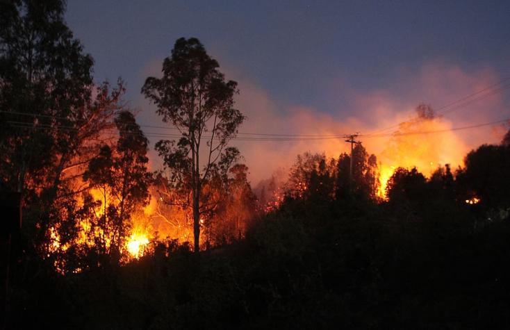 Incendios en Valparaíso: Siniestro afecta a Viña del Mar en sector Miraflores Alto