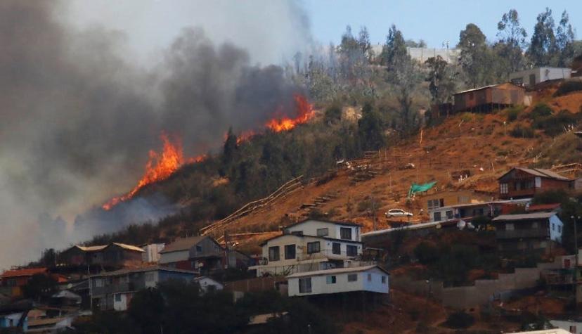Ocho focos y más de 3.500 hectáreas: El balance de Onemi por incendios forestales en Valparaíso