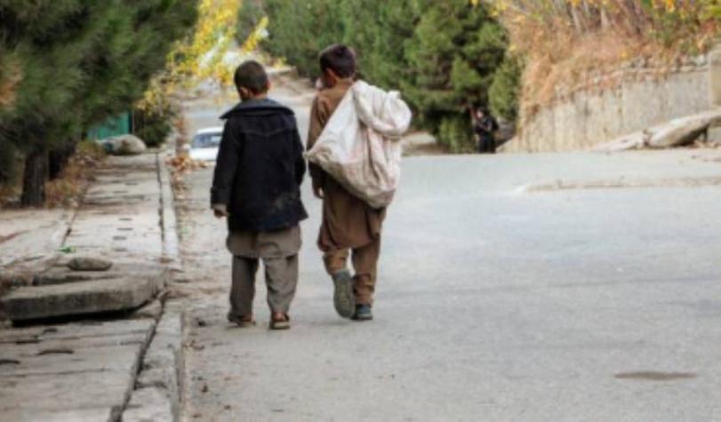 Chile entre los cuatro países de la OCDE con mayor porcentaje de pobreza infantil