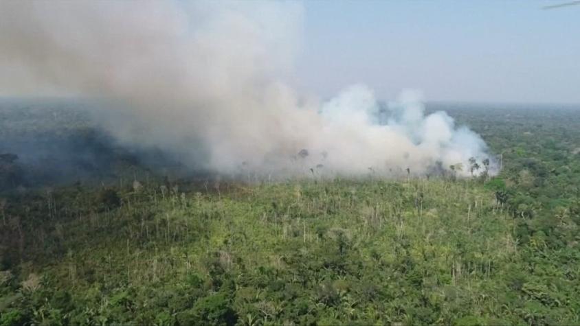 [VIDEO] Brasil alcanza récord de deforestación en la Amazonía