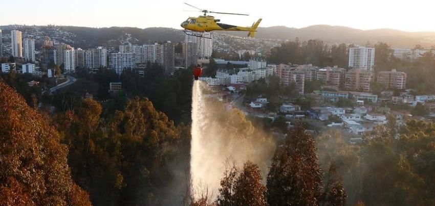 Gobierno: "Mucha evidencia" apunta a intencionalidad de incendios en Valparaíso