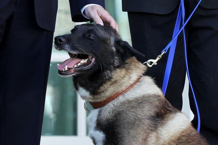Trump realiza homenaje a Conan, perro "héroe" que participó en operativo en contra del líder del EI