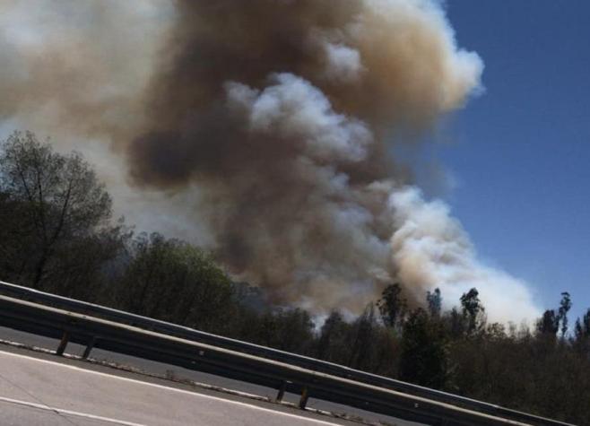 Incendio afecta la reserva forestal Peñuelas en la región de Valparaíso
