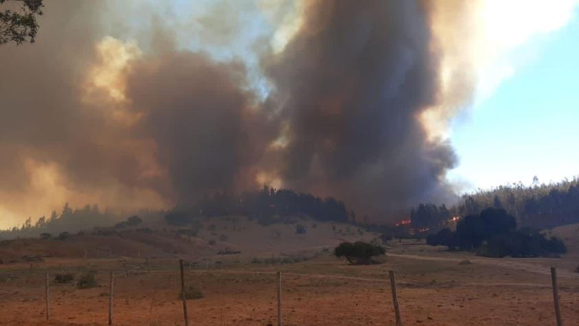 Nuevo incendio en la región de Valaraíso afecta al sector Placilla