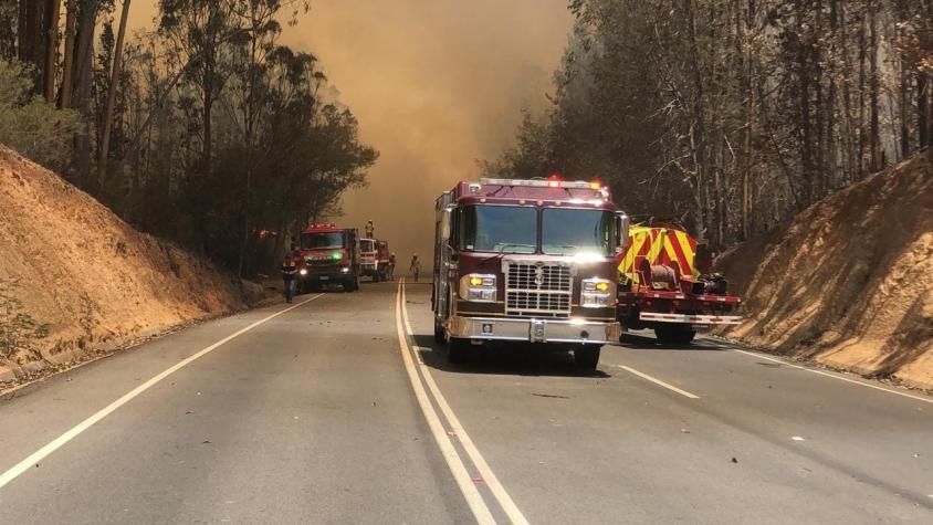 [VIDEO] Incendio forestal en Valparaíso obliga cortar el tránsito en la Ruta 68
