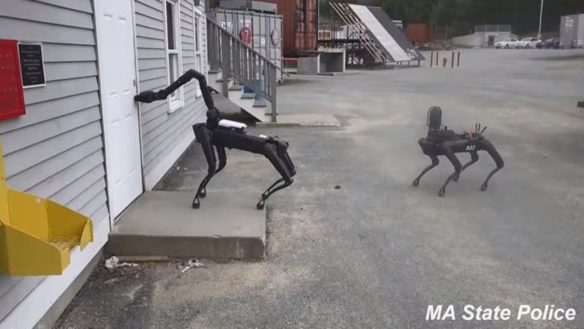 El polémico uso de "perros robot" por parte de la policía de Massachusetts
