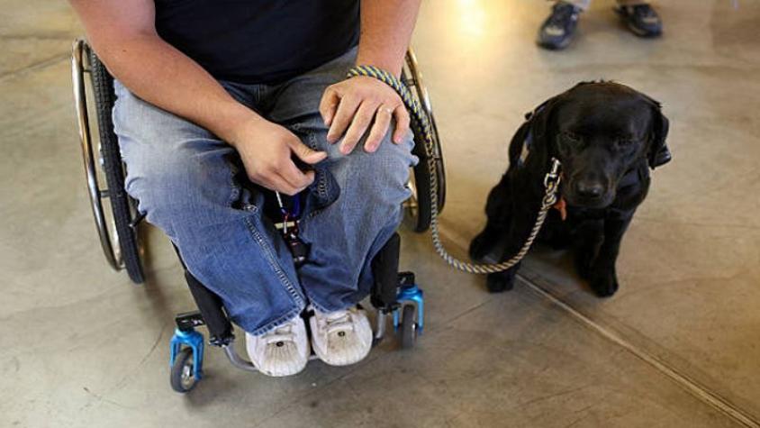 Argentina: Personas con discapacidad podrán usar perros de asistencia en cualquier lugar
