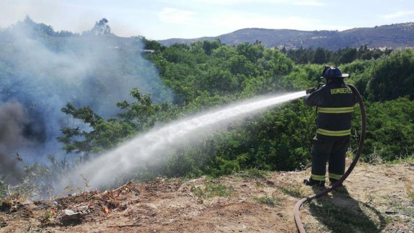 Onemi declara alerta roja para Talca por incendio forestal