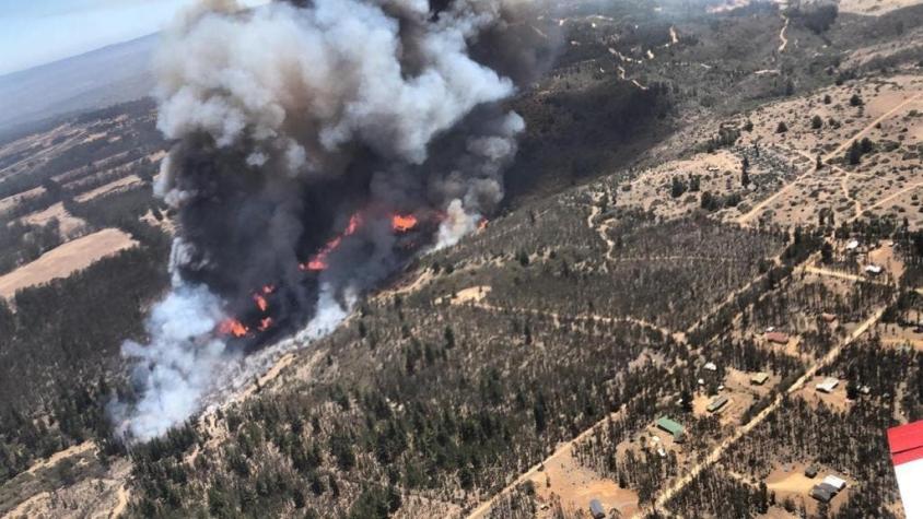 Declaran Alerta Roja en El Quisco por incendio forestal en sector de Totoral