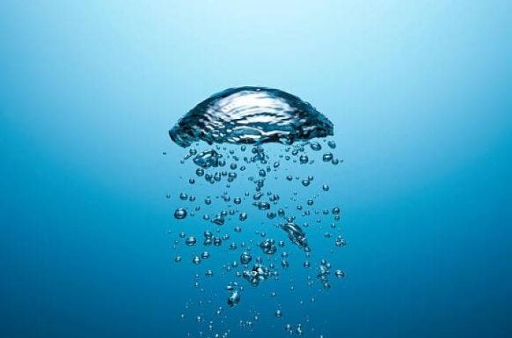 La pérdida de oxígeno se suma a las amenazas para los océanos