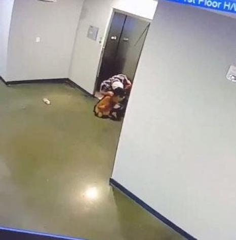 [VIDEO] Hombre salva al perrito de su vecina luego que su correa quedara atrapada en un ascensor