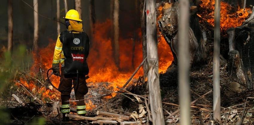 Viento y altas temperaturas complican control de incendio en Valparaíso